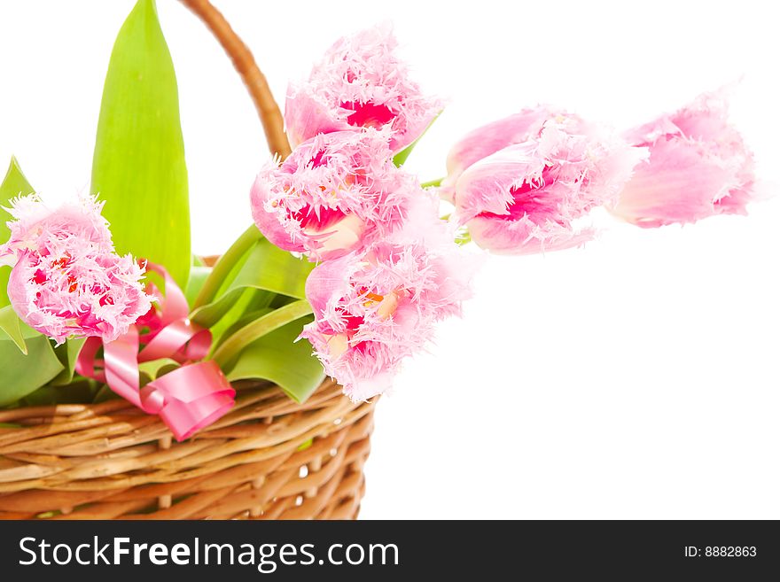 Pink tulips in a basket