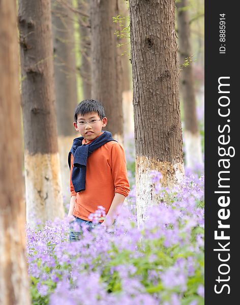 Asian boy standing in the bloom