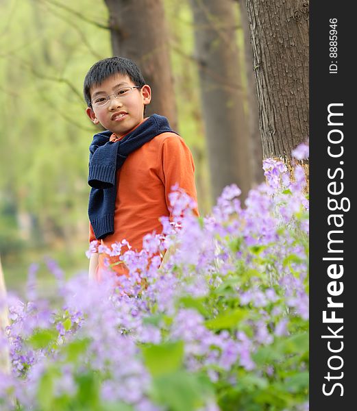 Chinese young boy standing in the bloom. Chinese young boy standing in the bloom