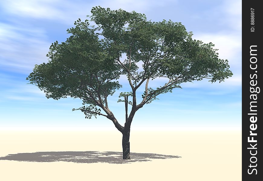 3D Illustration of a Cherry Tree under sun. Sun lights reflected on the trunk, branches and leaves.