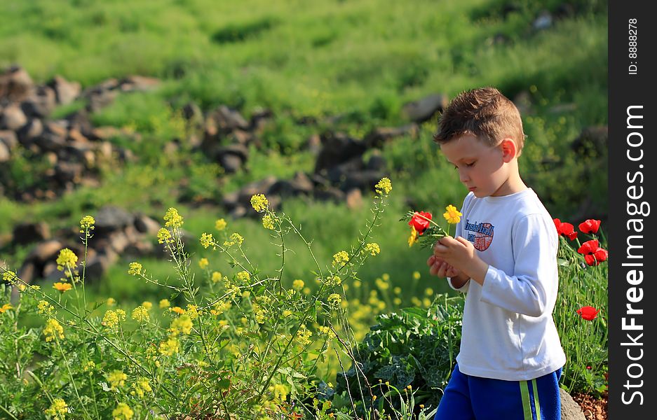 Little boy looking on the flower. Little boy looking on the flower