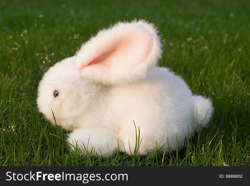 A toy white hare is on green grass