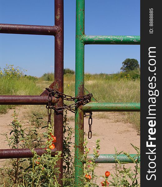 An old rusted gate with chain and lock. An old rusted gate with chain and lock