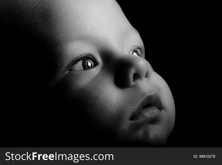 Grayscale Photography Of Baby Face