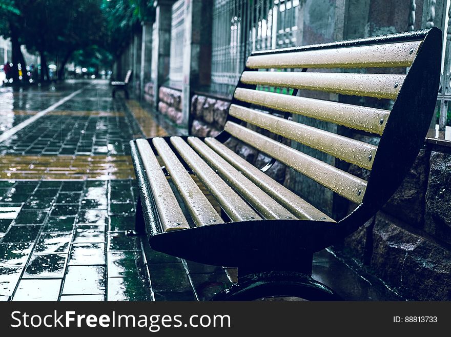 Bench In Rain