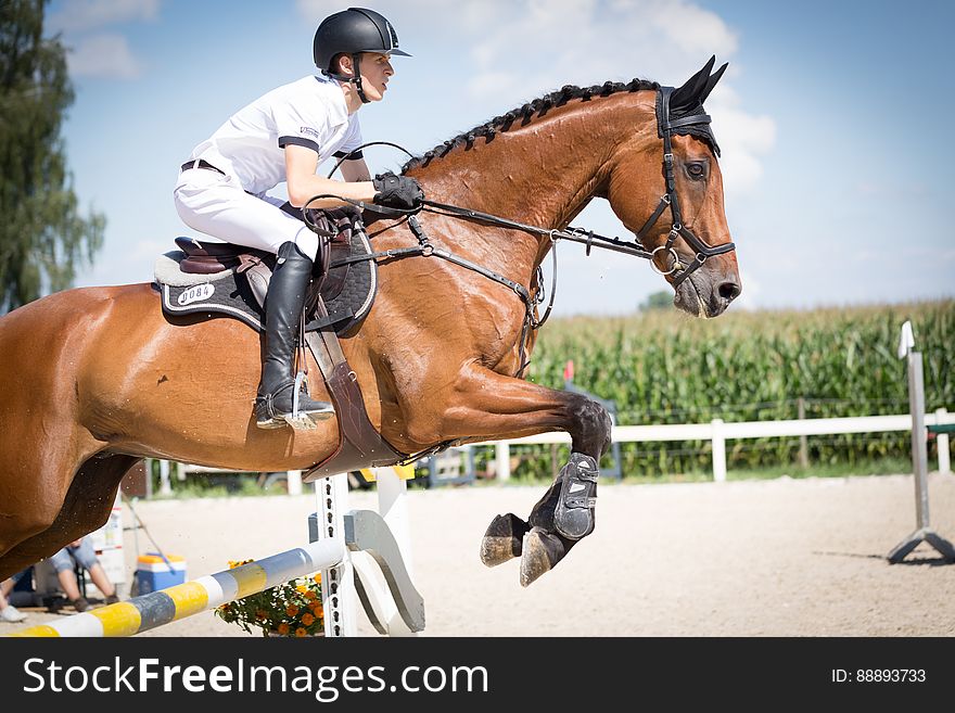 Jockey Riding on Horse on Hurdle