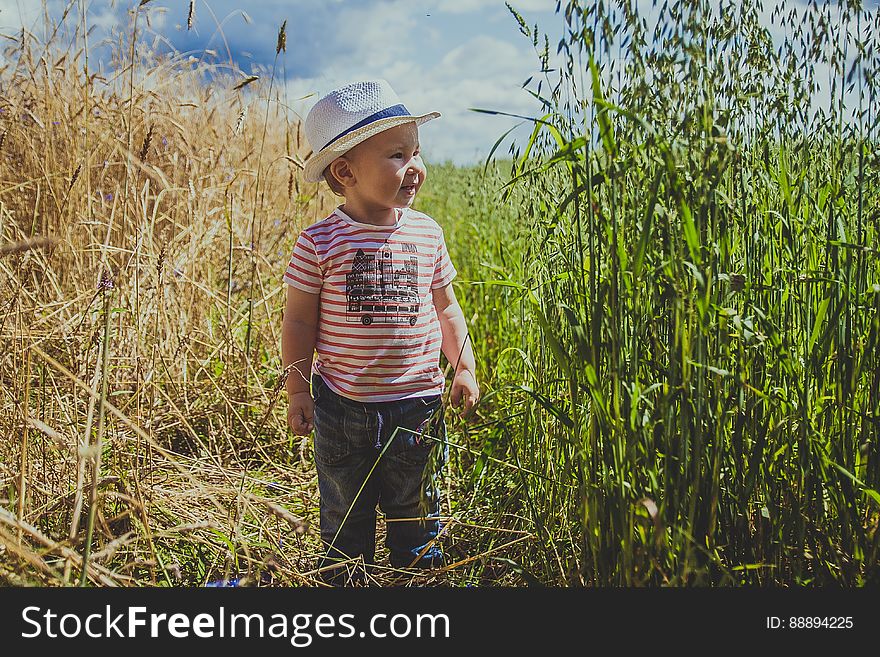 A young boy standing on a field in the summer. A young boy standing on a field in the summer.