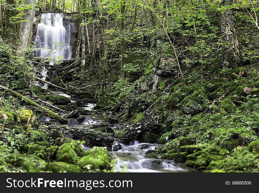 A waterfall and a small stream in a forest. A waterfall and a small stream in a forest.