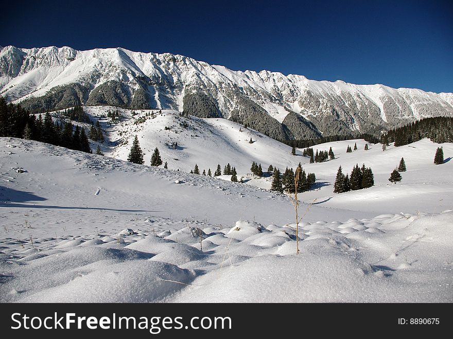 Piatra craiului mountains under blue sky. Piatra craiului mountains under blue sky