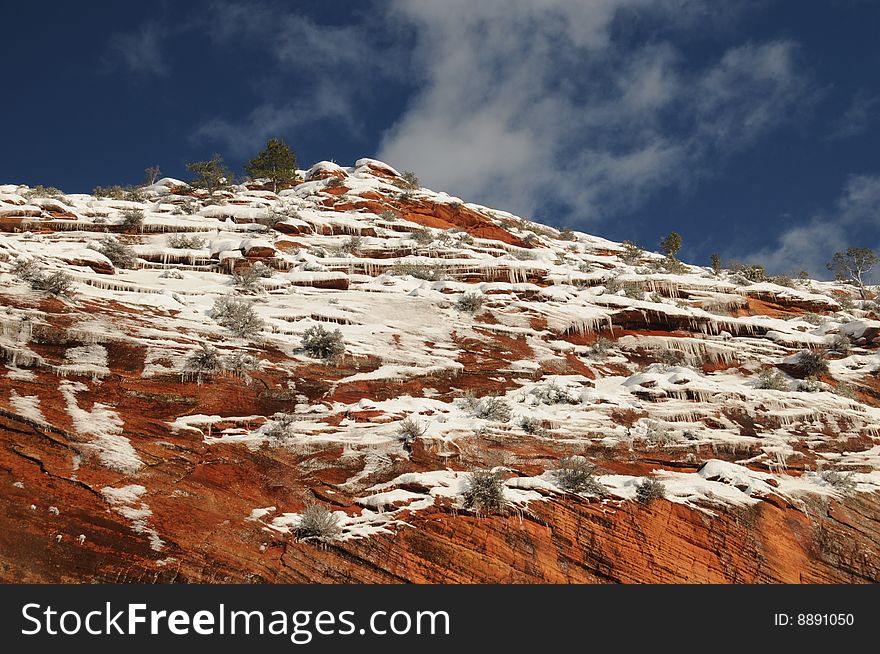 Snow on the Mesa- Zion National park 7