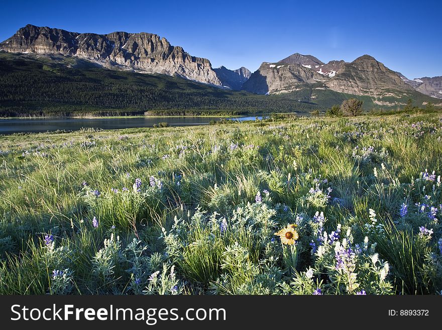 Morning in Rockies - Glacier National Park