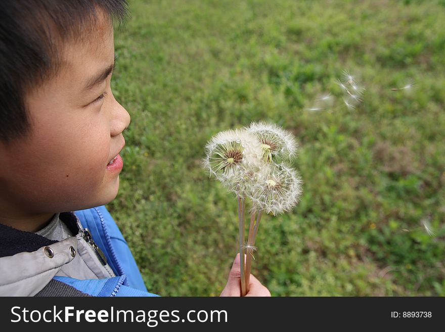 The boy  are watching floating dandelion