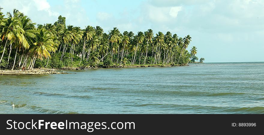 Beach In Caribbean