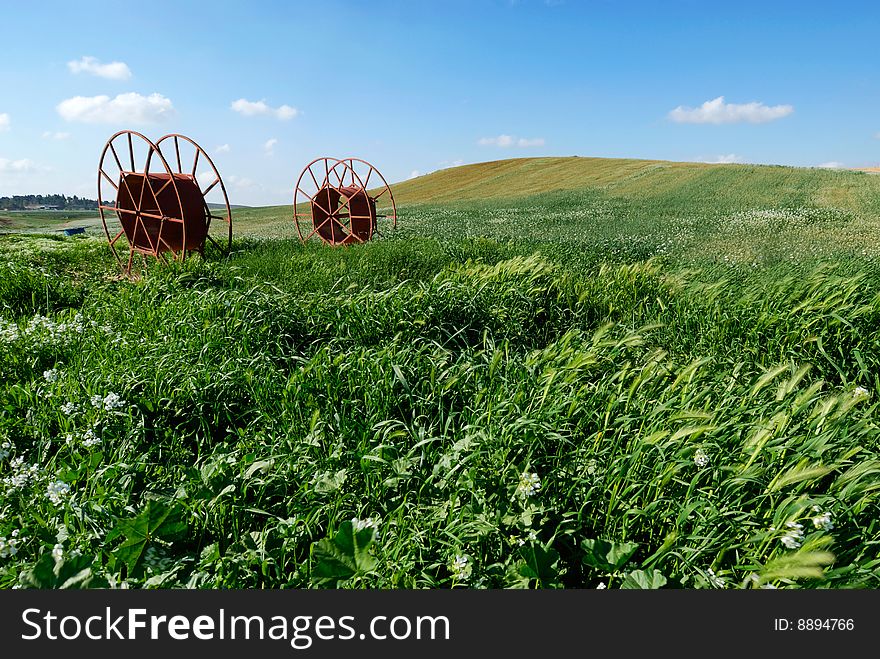Green grass at agricultural farmland
