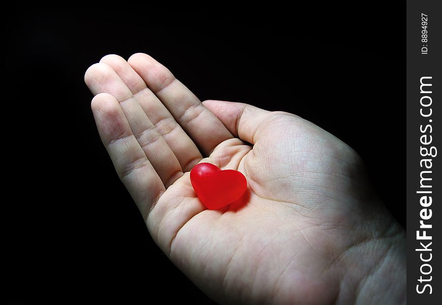 Red Heart In The Hand