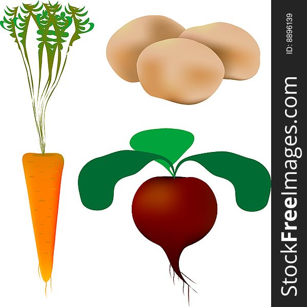 Vector illustration - three vegetables for your desing