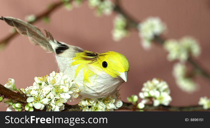 Sparrow On Plum Tree