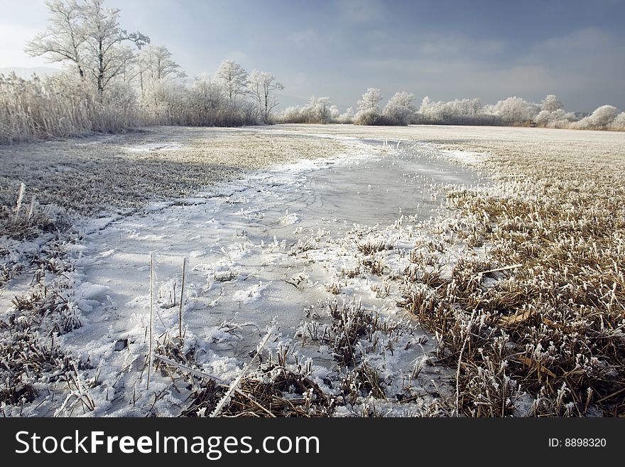 Frozen Meadow with trees and sky in background. Frozen Meadow with trees and sky in background