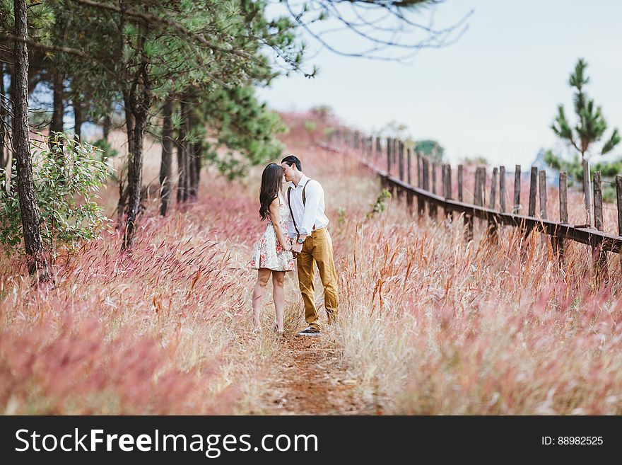 A couple kissing on a path leading through grassy fields. A couple kissing on a path leading through grassy fields.