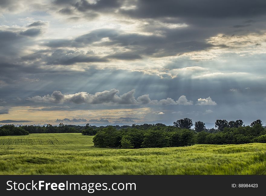 Sun Raise from the Sky over the Green Fields