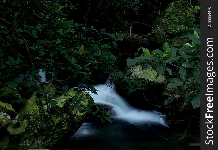 Waterfalls Near Green Leafed Plants