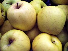Yellow Apples Stock Photos Yellow Apples Stock Photos