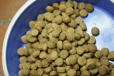 Dog Food Stock Photography Dog Food Stock Photography