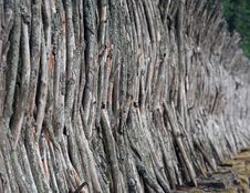 Wooden Fence Royalty Free Stock Images Wooden Fence Royalty Free Stock Images