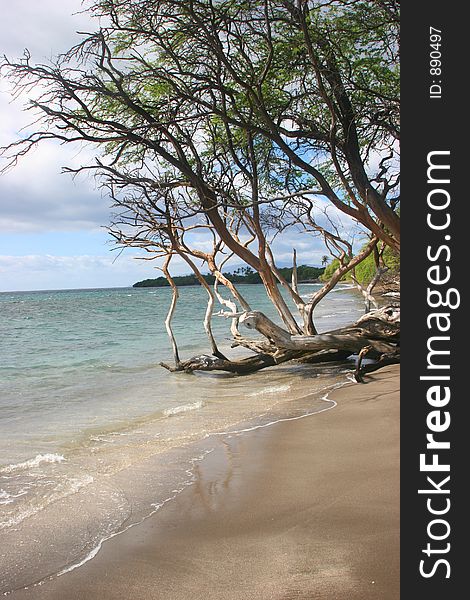 Pristine beach at Maui, Hawaii. Pristine beach at Maui, Hawaii.