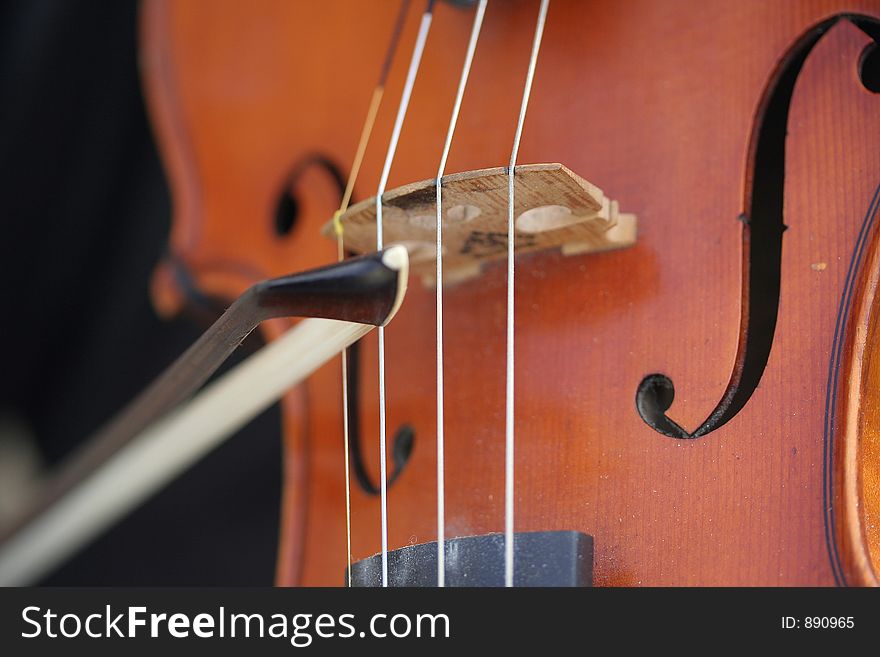 Image looking across the bridge of a violin