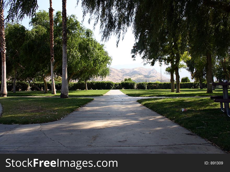 Path in park. Path in park