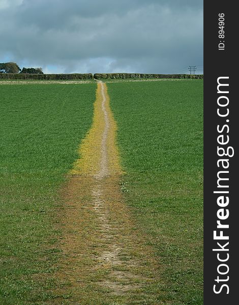 Yellow path through the countryside. Yellow path through the countryside