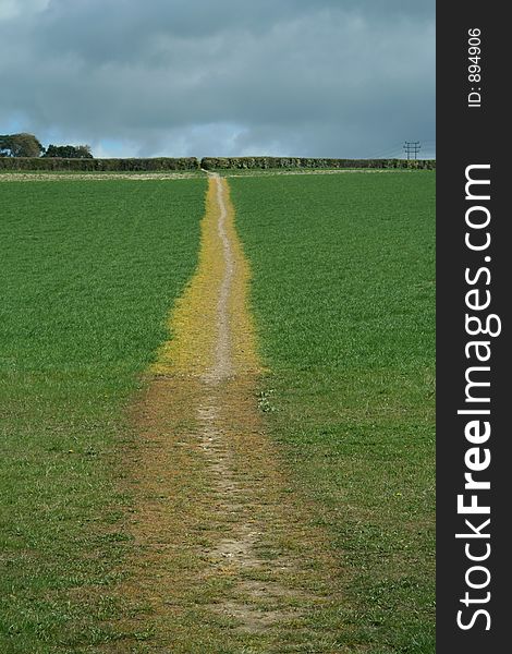 Country Path