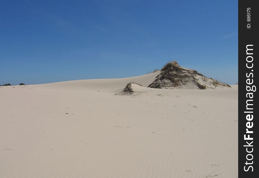 Sand dunes near the baltic sea (Slovinsky National Park)