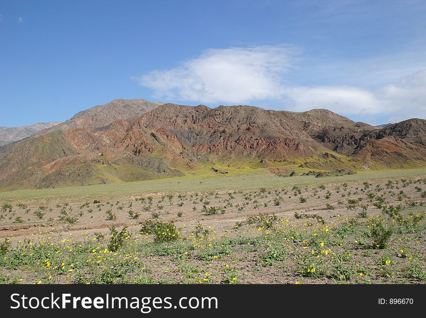 Rugged desert terrain of Death Valley