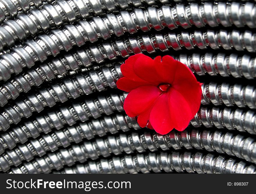 Steel And Flower