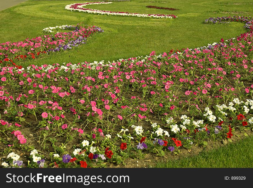 Blooming gardens in sunny day. Blooming gardens in sunny day