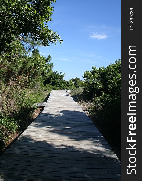 Wooden Walkway to the Beach