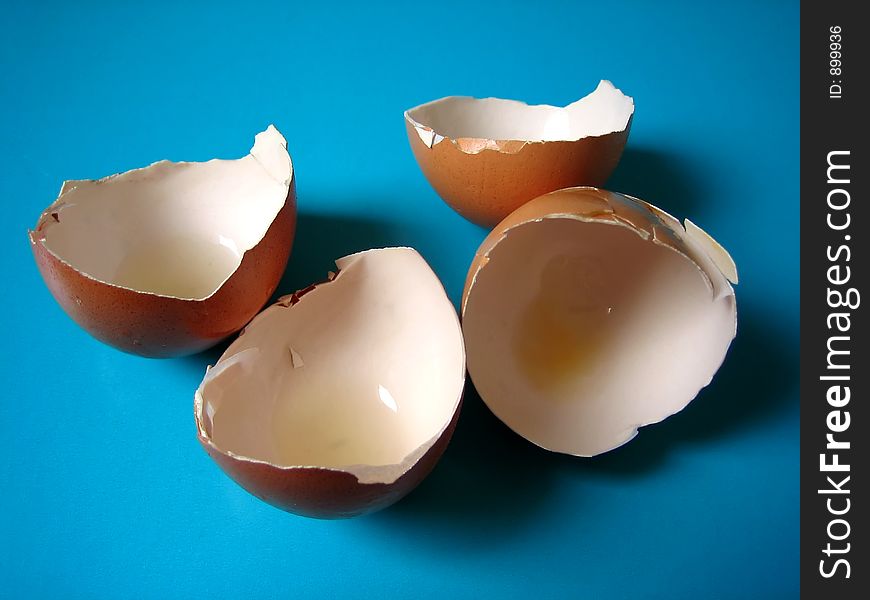 Shell from eggs.