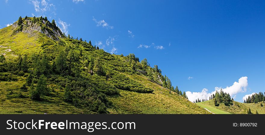 Lush green hill in bright summer day