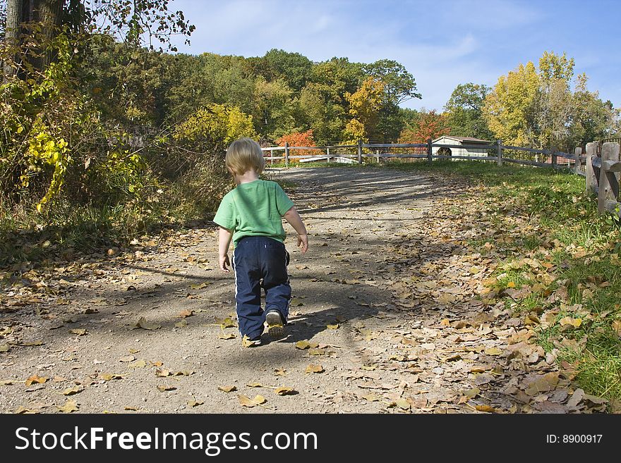 Child walking a path in Autumn. Child walking a path in Autumn