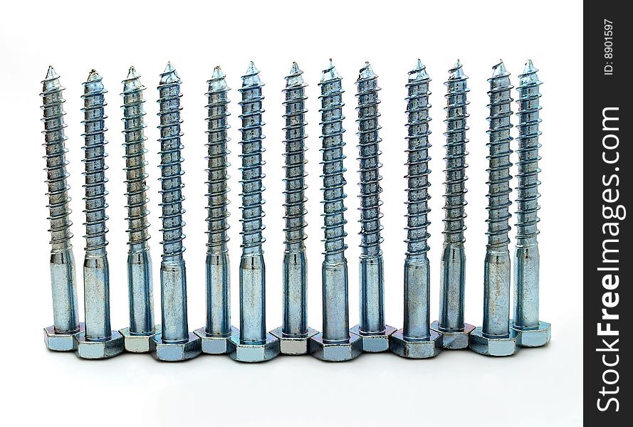 Thirteen brilliant metal screws on a white background