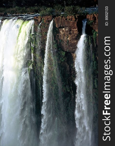 Detail of  Iguazu Waterfalls,Brazil