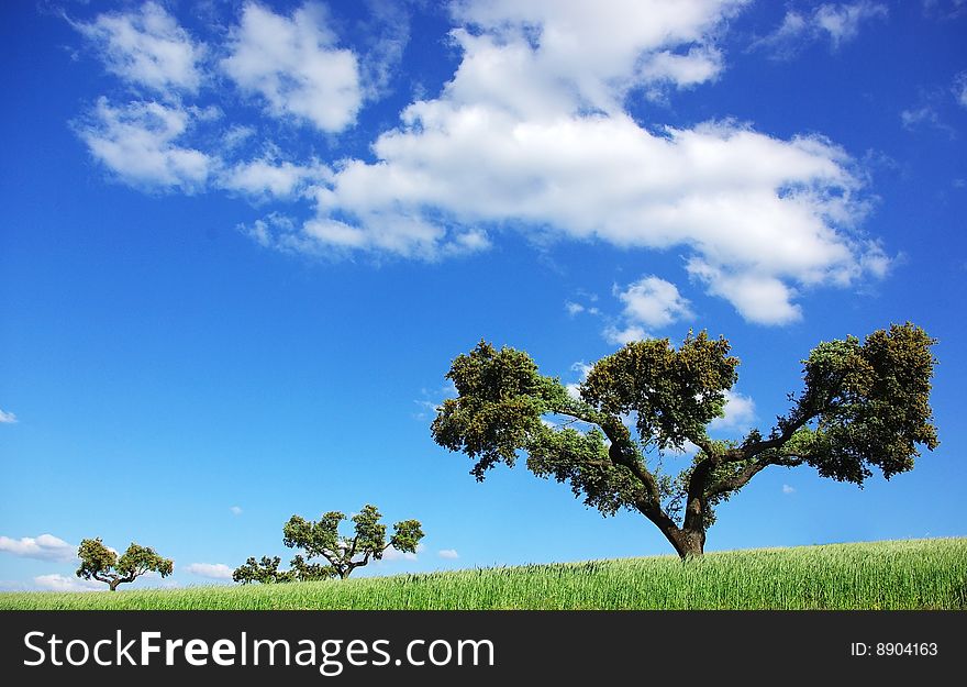 Landscape Of Alentejo Region.