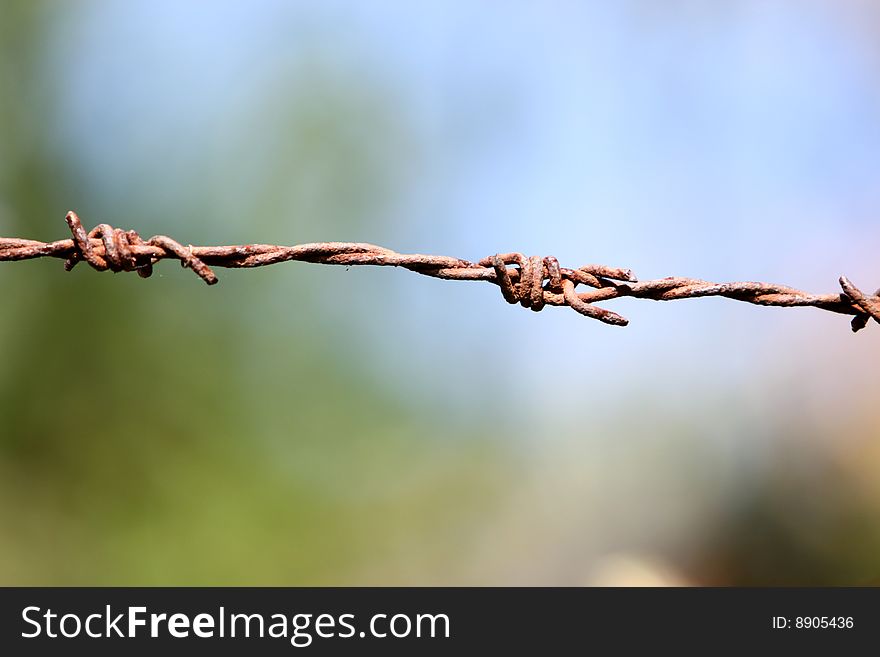 Image of barbwire sections with sharp thorns