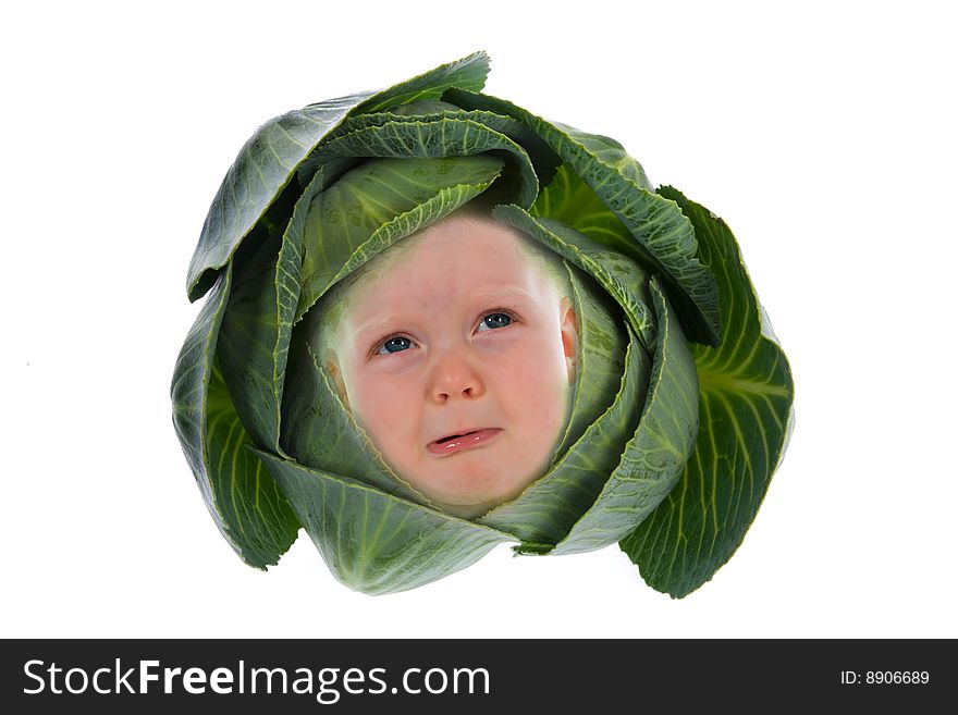 Baby among cabbage leaves isolated on white