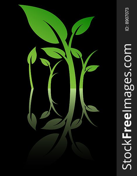 Leaves on black background, vector illustration