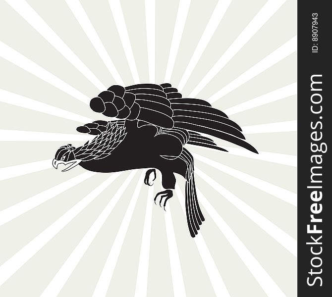 Beauty black bird eagle backgrounds