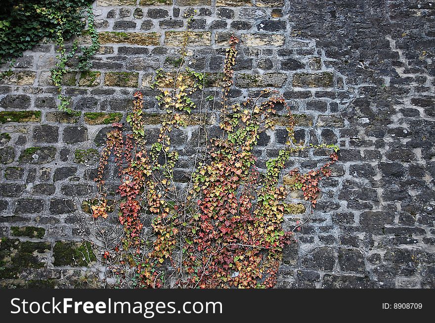 Closeup of a fortification with a twisted grass