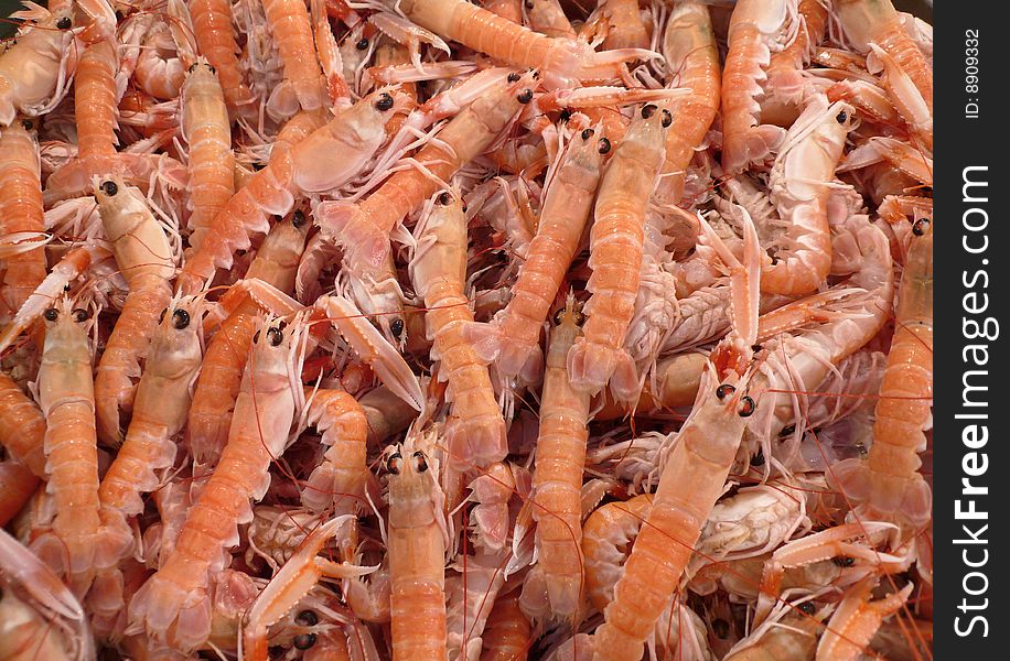 Close up of crawfish on a fish market,